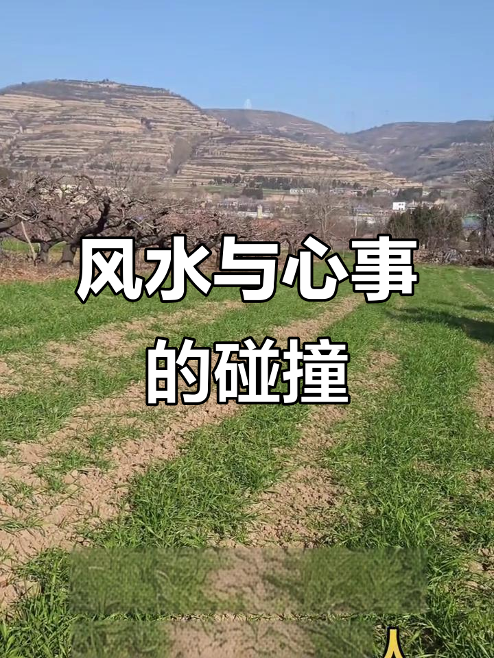 杏花山妈妈的心事,风水秘辛大揭秘