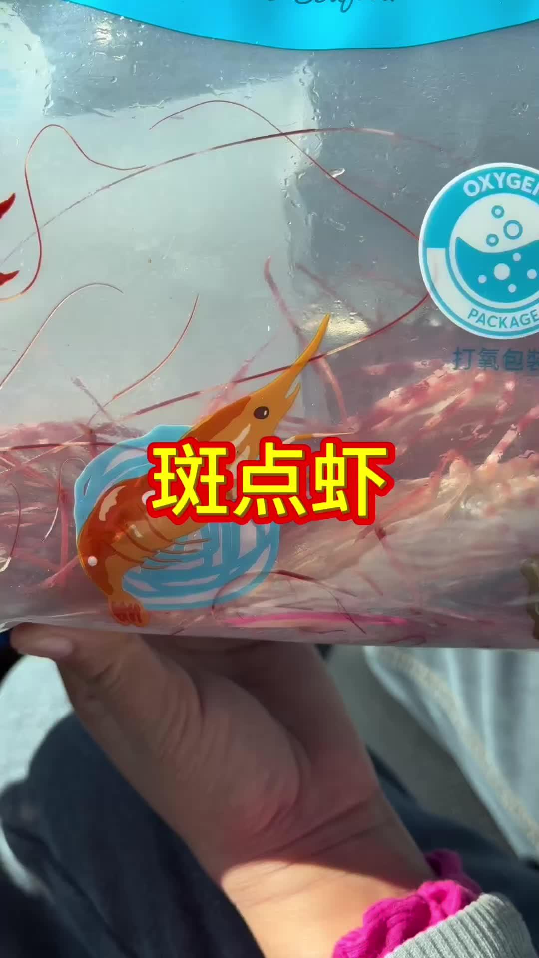 斑点虾 海外生活 温哥华生活 vlog日常 吃虾季节要来了