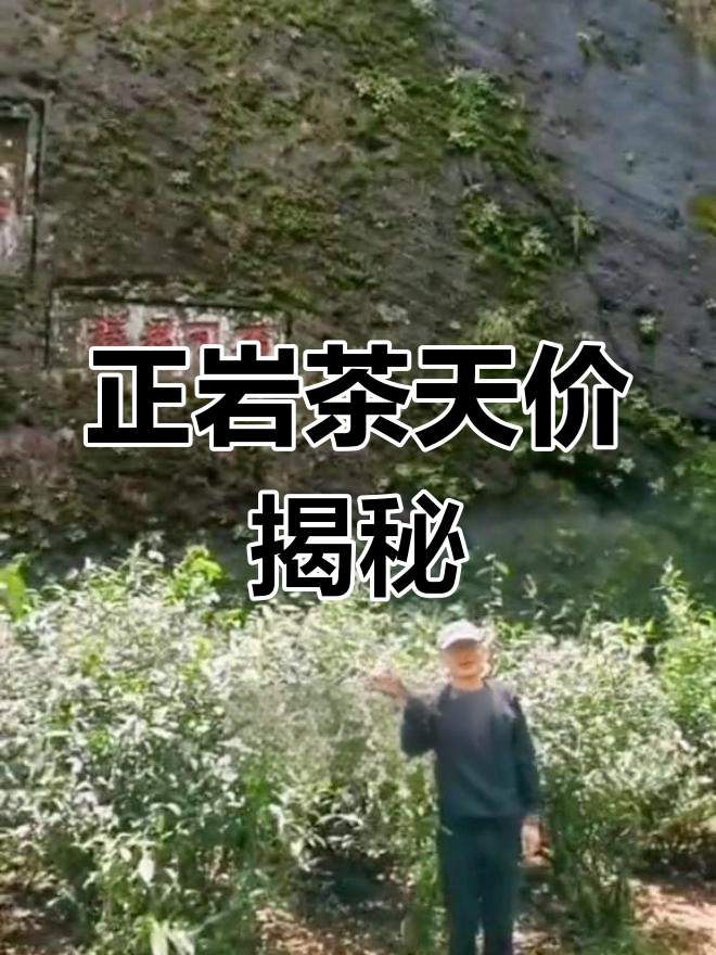 武夷岩茶为何如此昂贵?普通人还能尝到正宗肉桂吗?