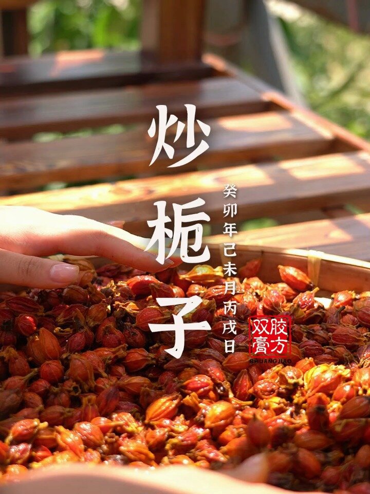 清心热,调肝胆,炒栀子称为夏日清热好帮手