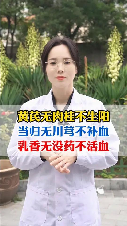 黄芪无肉桂不升阳,当归无川穹不补血,乳香无没药不活血