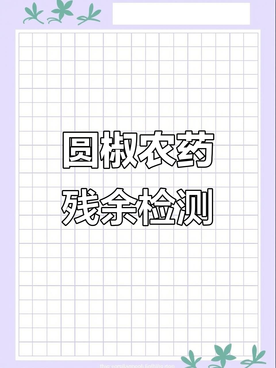 牧绿蔬菜批发市场圆椒农药残留检测,结果安全放心