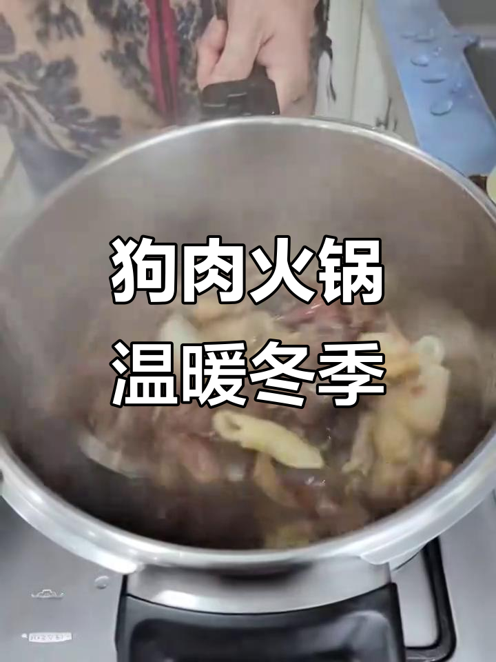 寒冬里,一锅热腾的狗肉火锅让人暖心又满足!