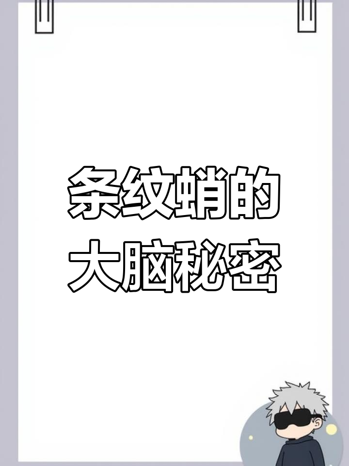 海洋中的智慧生物:条纹蛸的神奇大脑结构