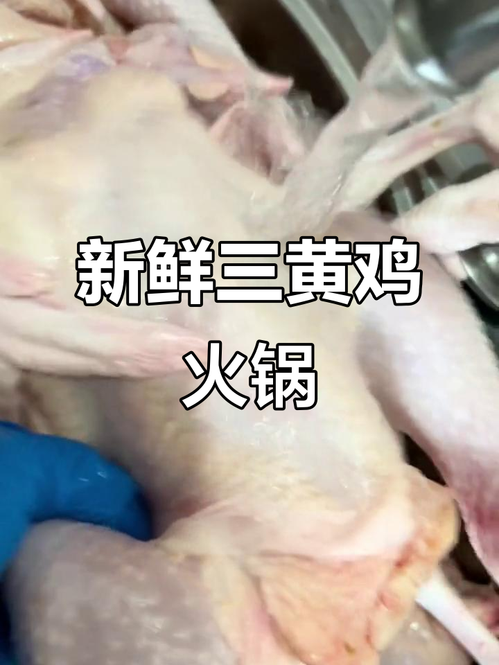 三黄鸡火锅,鲜嫩美味不容错过!