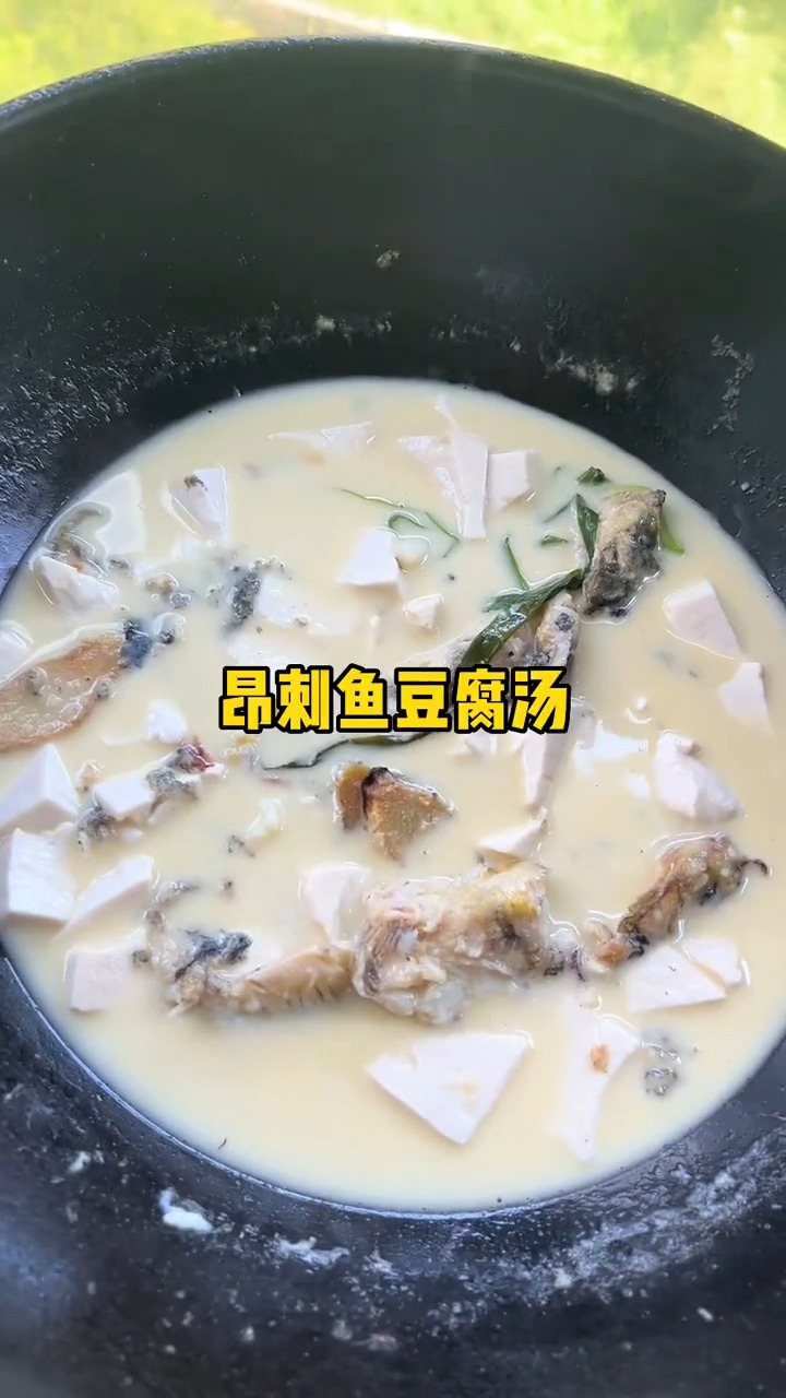 昂刺鱼豆腐汤,夏季低脂高蛋白的营养汤羹～
