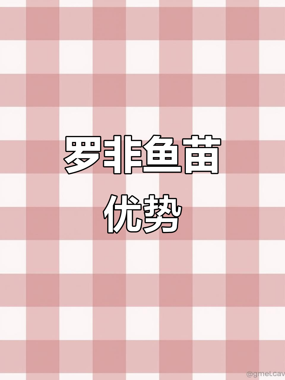 海南罗非鱼苗，生长迅速、抗病力强，适合高密度养殖！