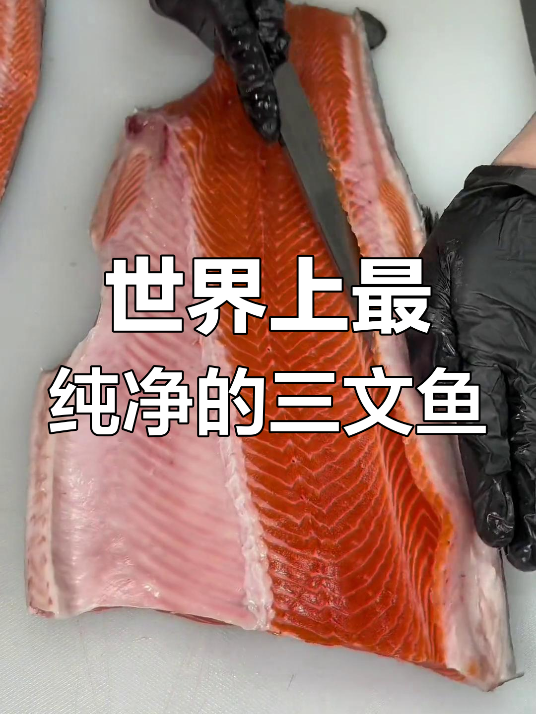 新西兰帝王鲑:冰川水养育的顶级三文鱼