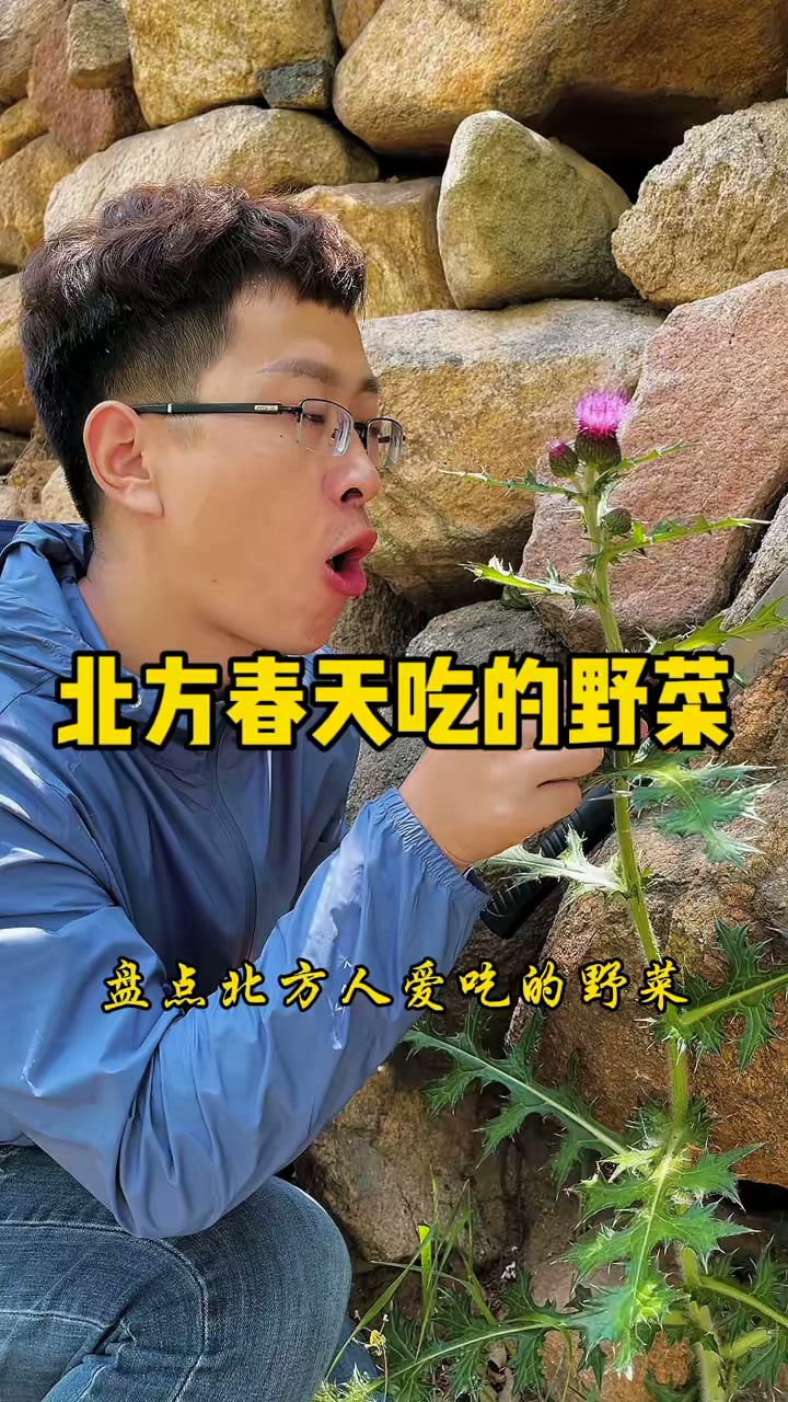 这些野菜你都吃过吗？你还知道哪些呢？欢迎补充