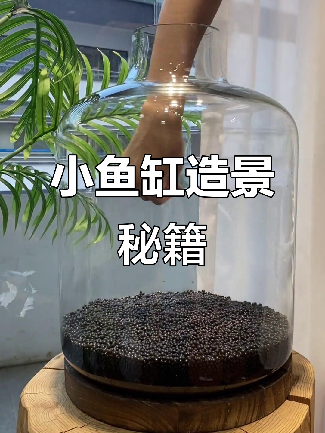 轻松打造治愈小鱼缸，水族箱造景超有趣！