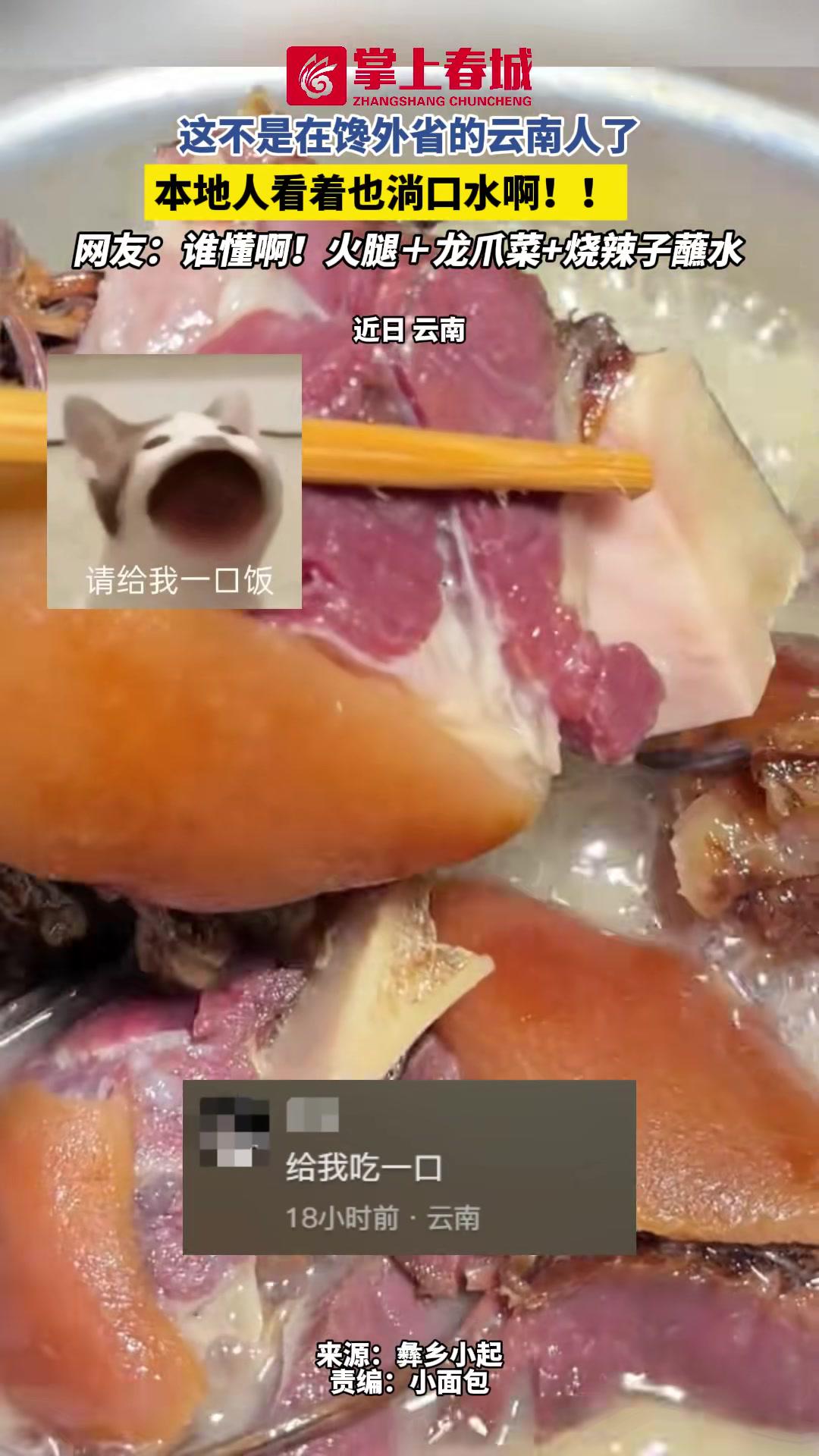 这不是在馋外省的云南人了,本地人看着也淌口水啊!网友:谁懂啊!火腿+龙爪菜+烧辣子蘸水 家