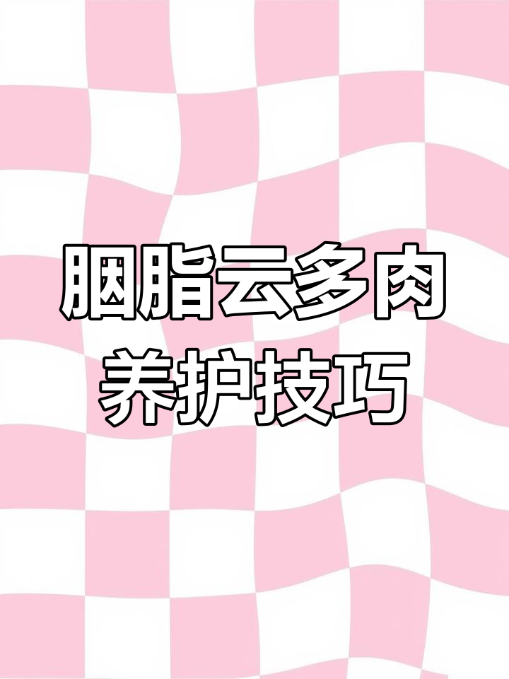 多肉植物胭脂云养护全攻略:轻松掌握水光管理