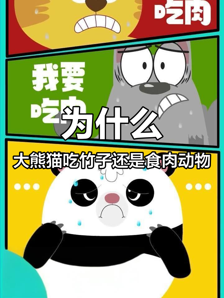 大熊猫为何是食肉目动物?原来它们偶尔也开荤
