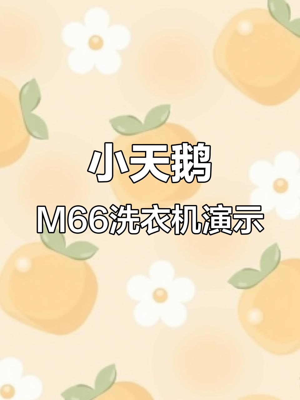 小天鹅M66洗衣机水魔方三段水流演示，轻松掌握洗涤技巧