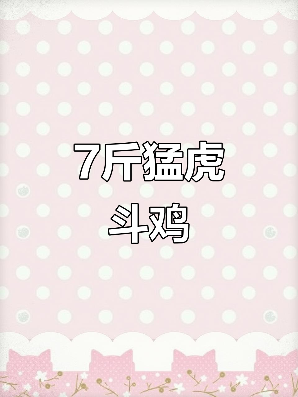 7斤重虎毛斗鸡,脚带钢锤,霸气十足