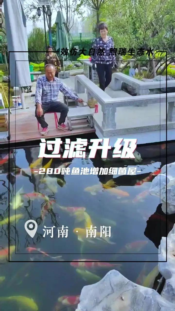 南阳280吨别墅锦鲤鱼池过滤系统升级完成。南阳280吨别墅锦鲤鱼池过滤系统升级,由期初的标