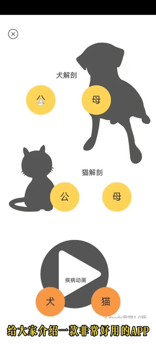兽医必备的解剖软件