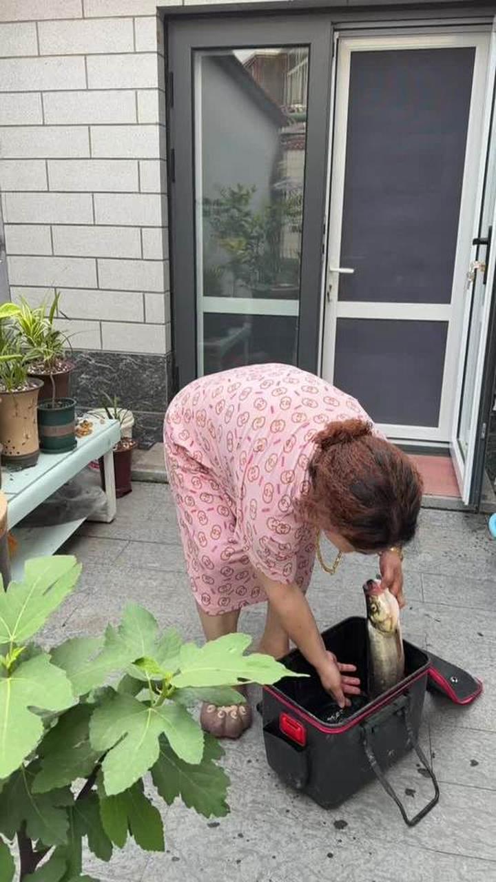 鱼能生财水可镇宅，有鱼有财好事自然来