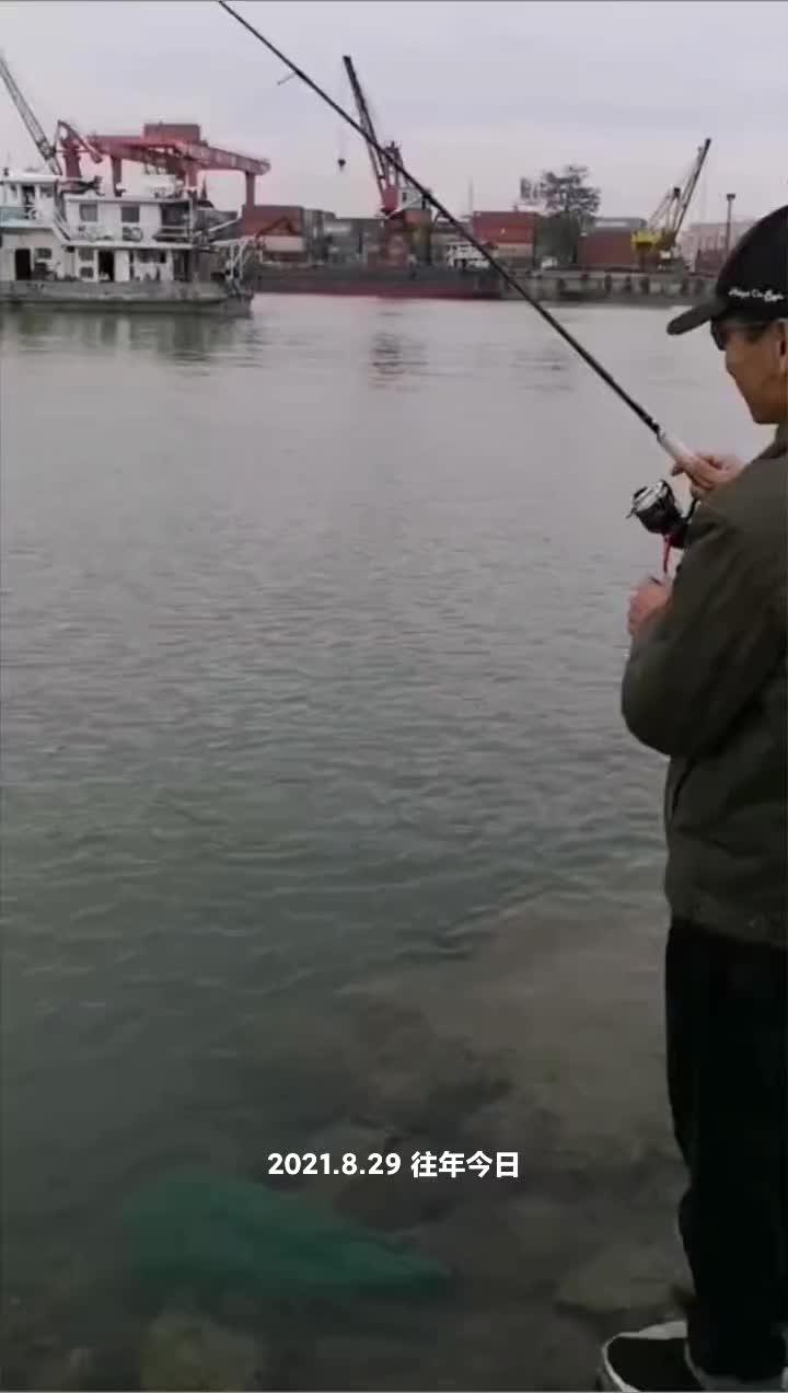 路亚红眼鳟 渔获 路亚军鱼 荒野探钓 户外路亚 路亚