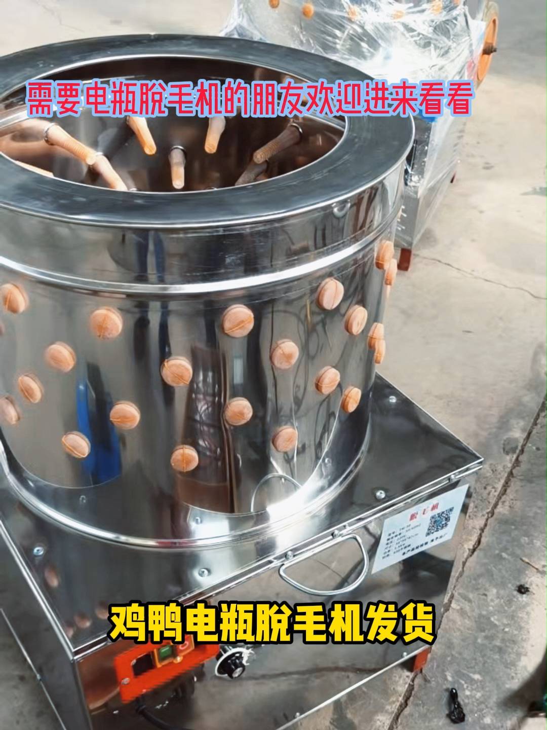 小型电瓶脱毛机 鸡鸭脱毛机 家禽