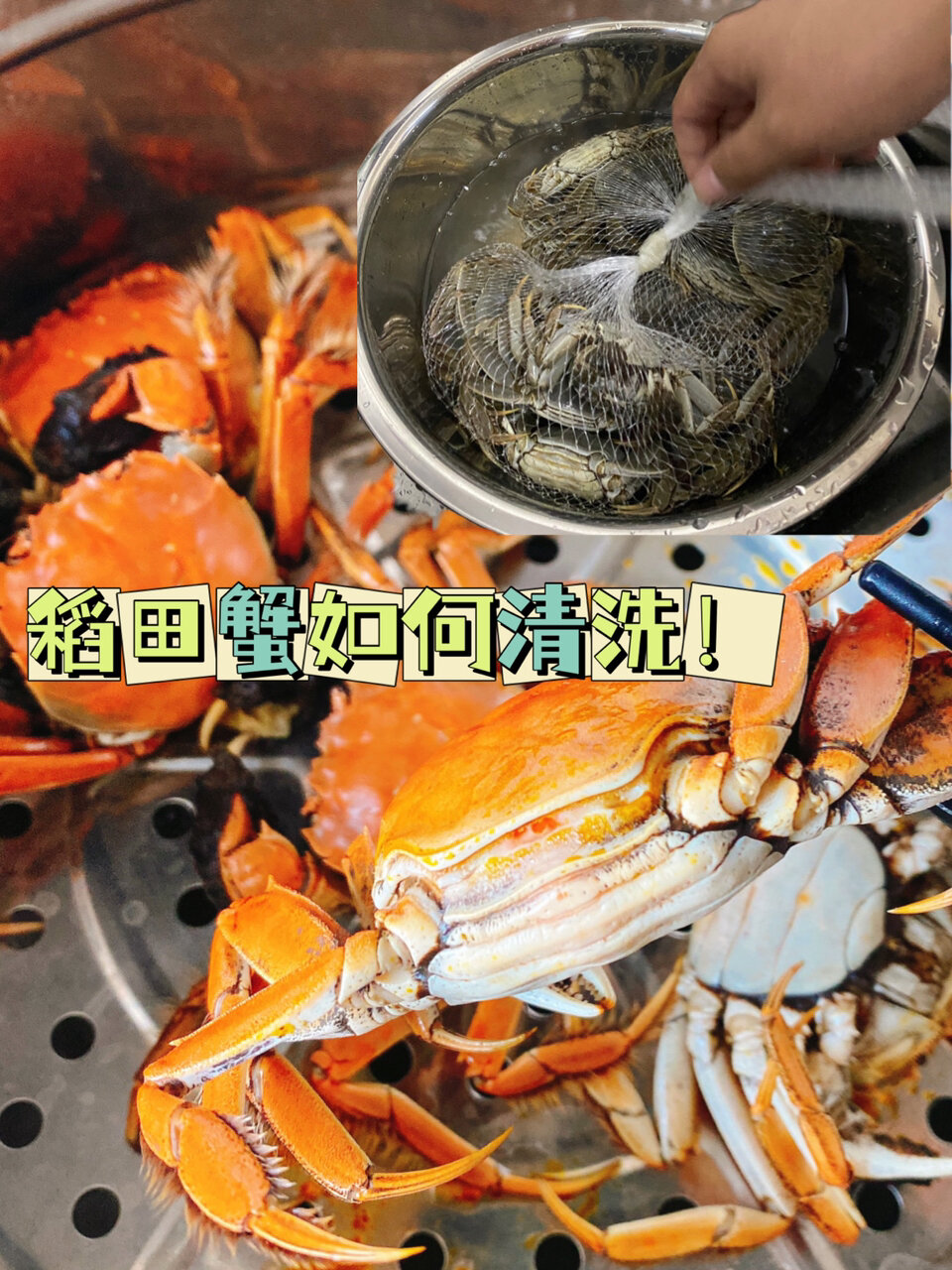 盘锦稻田蟹如何清洗|清蒸教程
