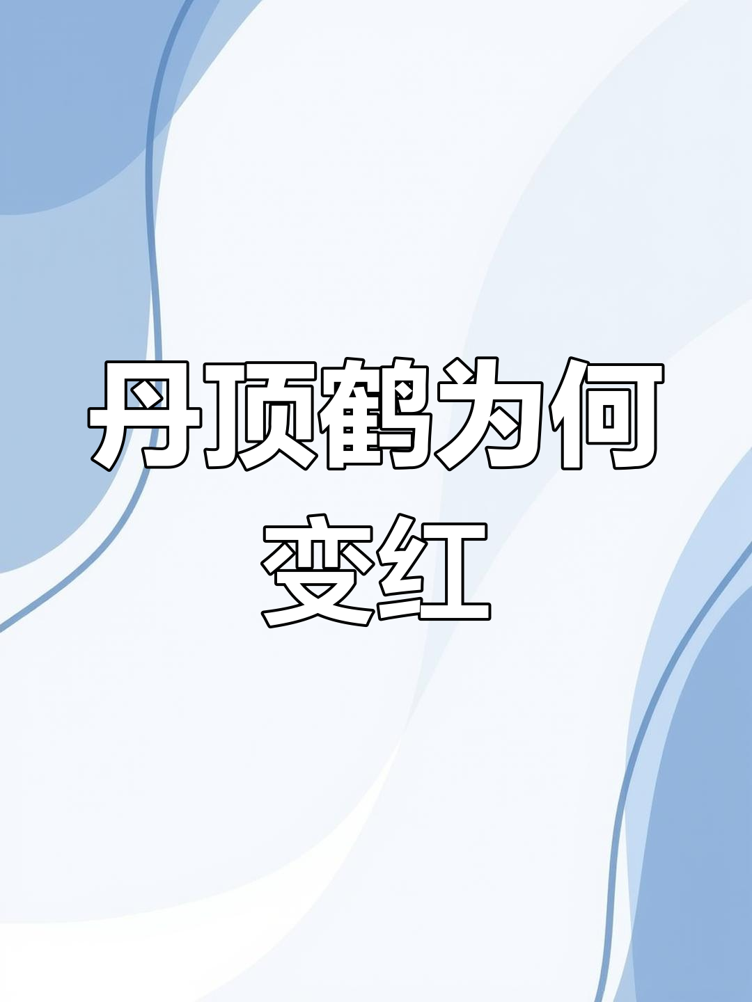 丹顶鹤头顶的秘密:鹤顶红与红色肉瘤无关