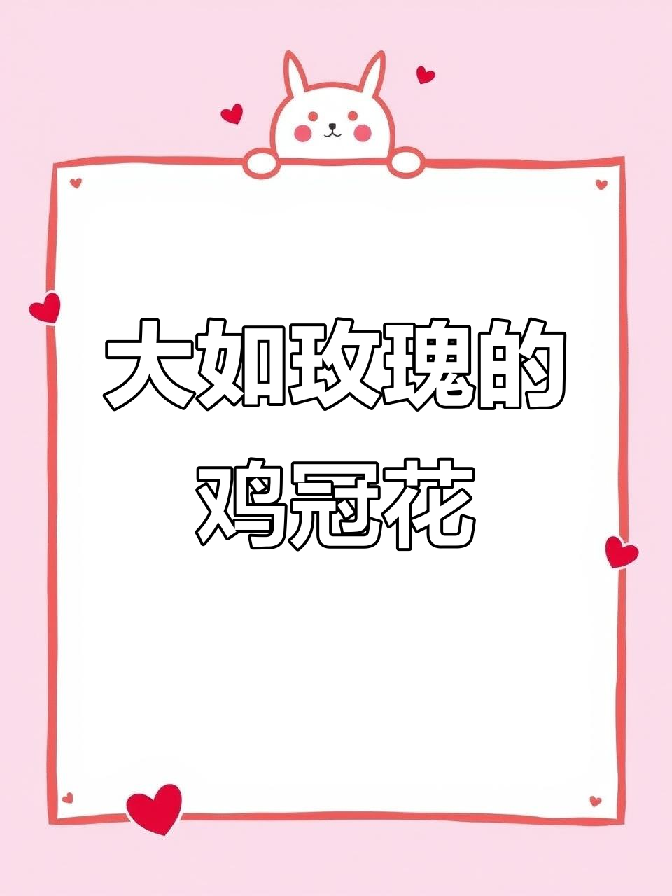 见过这么大的鸡冠花吗？秋天收获的惊艳花朵，像玫瑰一样美丽