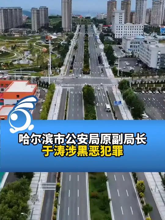 哈尔滨市公安局原副局长于涛涉黑恶犯罪,警方:对提供有价值线索者,最高奖励十万