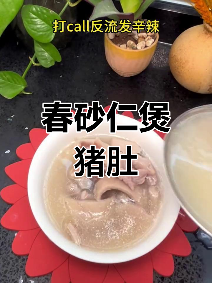 春砂仁猪肚汤,滋补又开胃