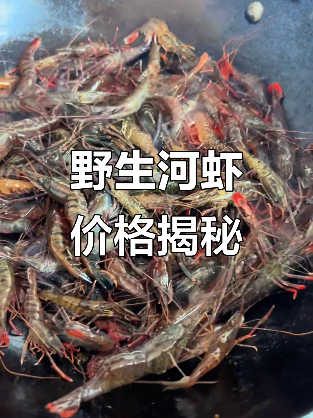 纯野生河虾,江浙一带卖100元一斤,值不值?