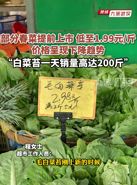 武汉部分春菜提前上市,低至1.99元/斤,价格呈现下降趋势“白菜苔一天销量高达200斤”