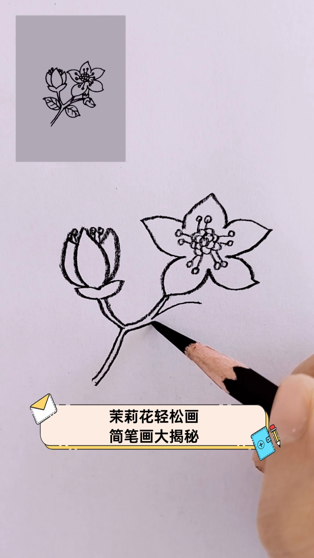 茉莉花轻松画,简笔画大揭秘