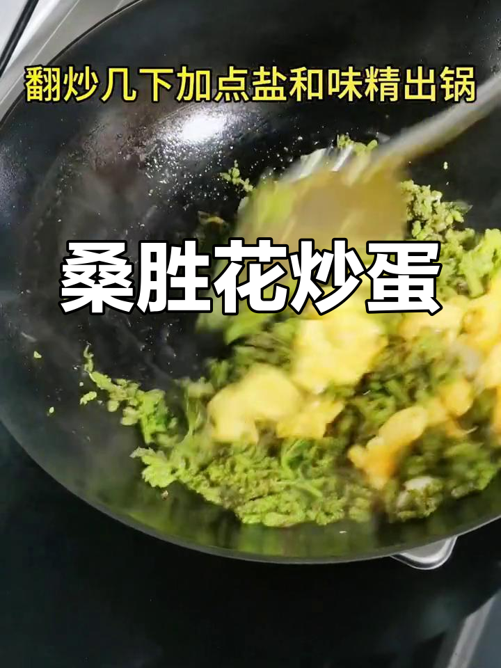 春天的野菜,桑葚花炒鸡蛋