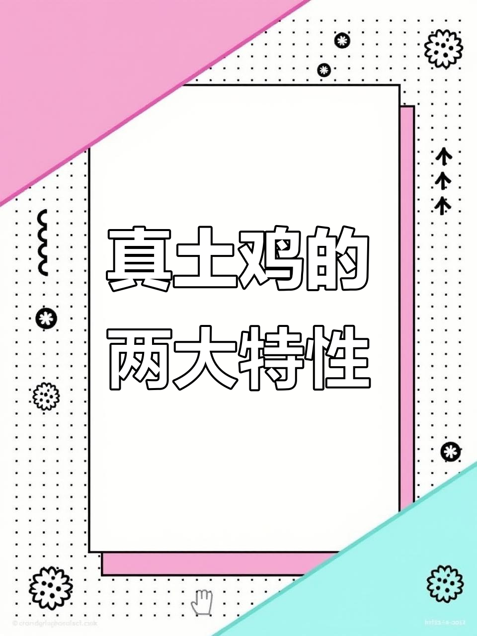 真土鸡为何爱除草上树？揭秘它们的野生本能