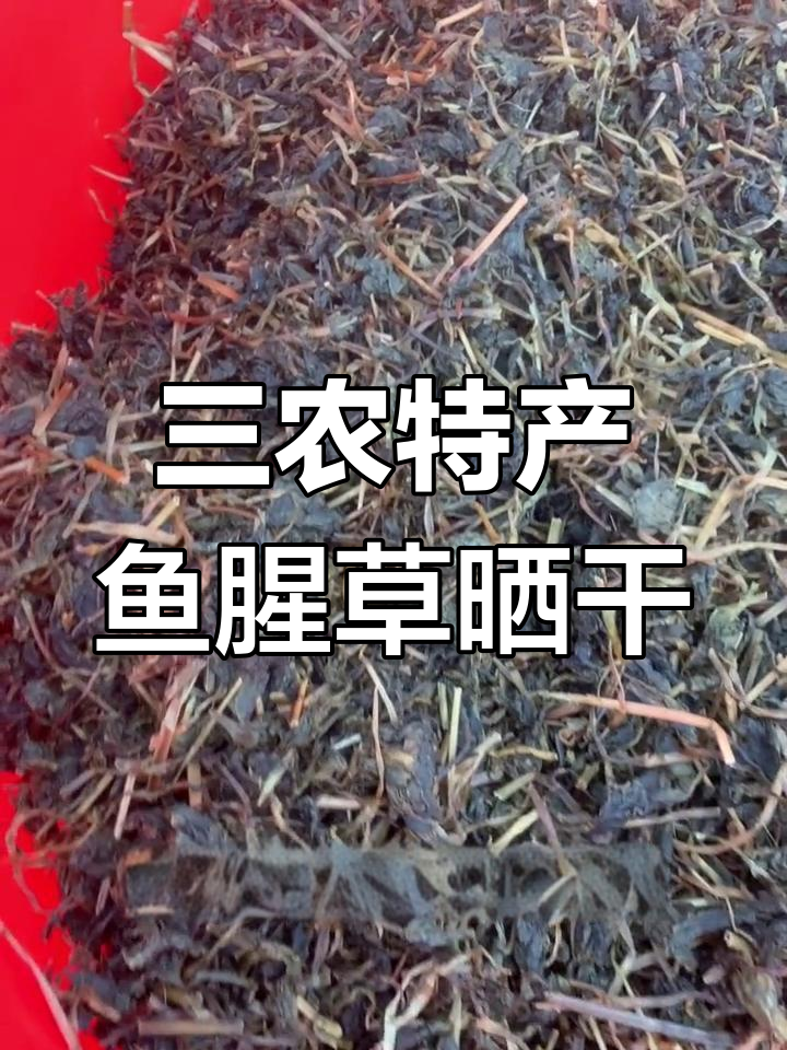 鱼腥草晒干变梅干菜,三农创业新机遇