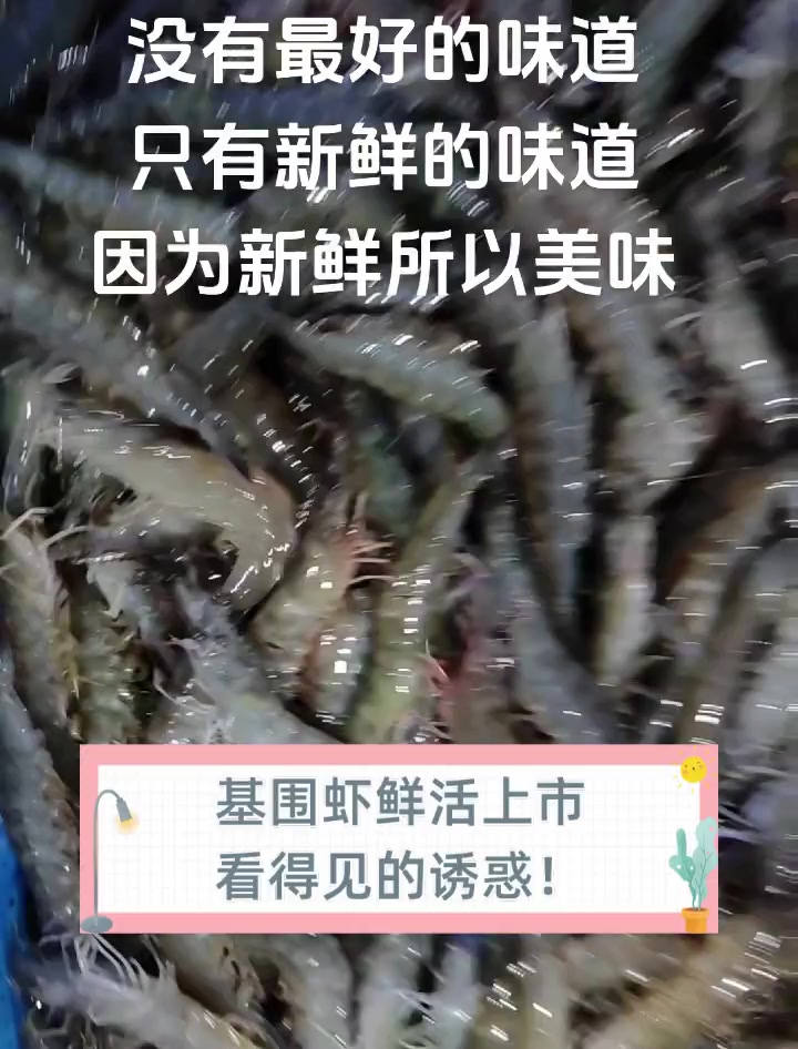 基围虾鲜活上市,看得见的诱惑!