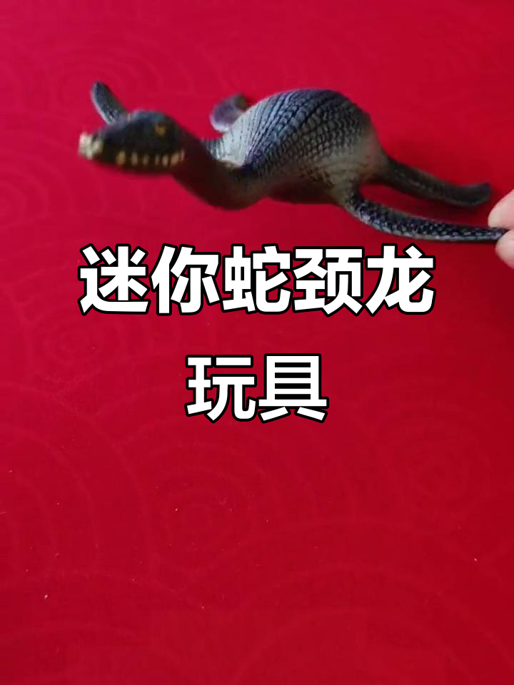 小号蛇颈龙:尼斯湖水怪般的萌宠,斗鸡眼表情超可爱