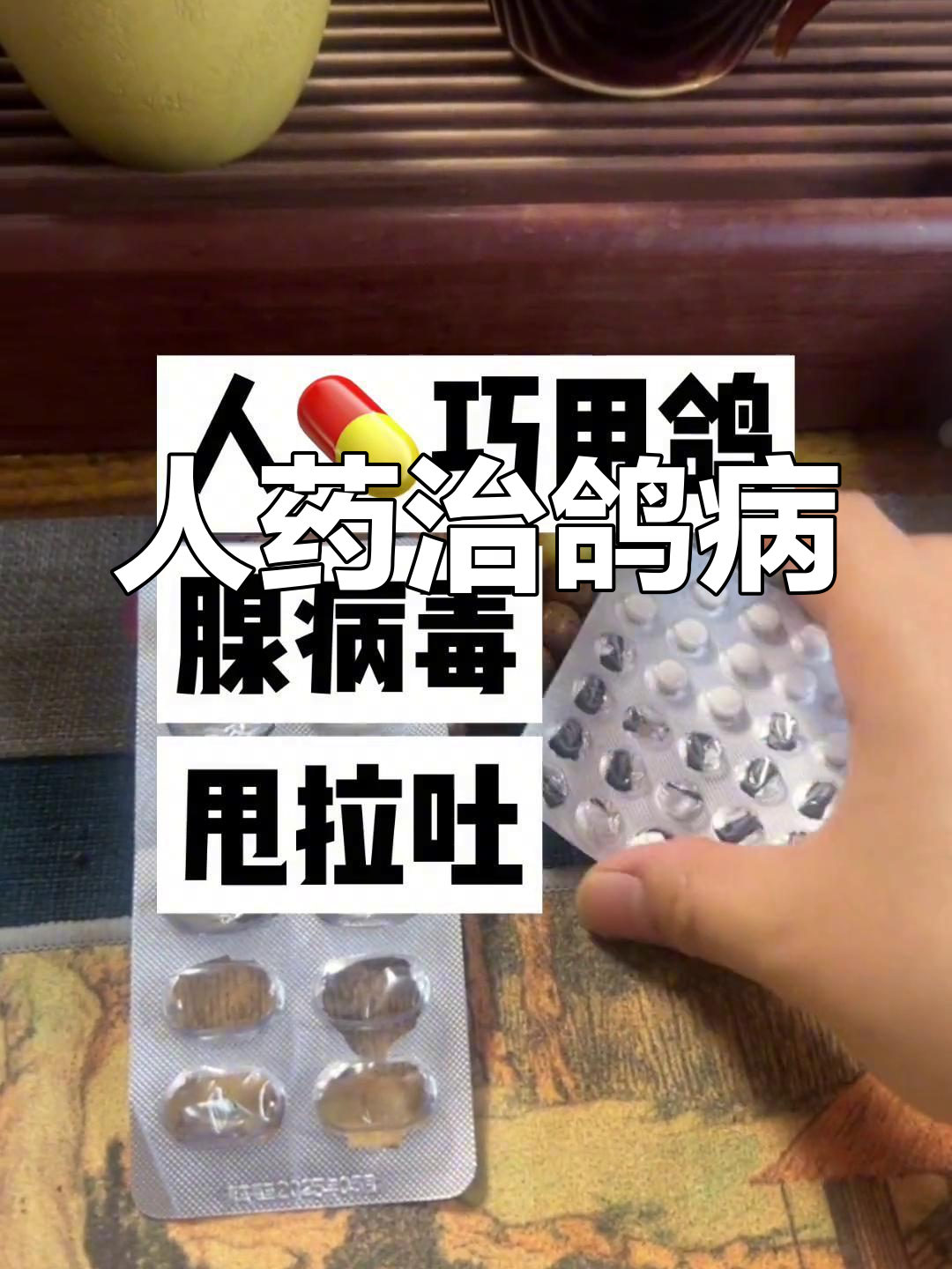 鸽子腺病毒治疗小妙招,人药使用方法揭秘