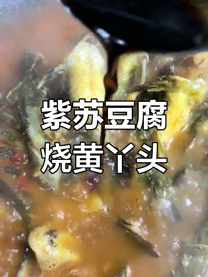 黄丫头鱼煎至微黄,配紫苏豆腐烧出鲜嫩美味