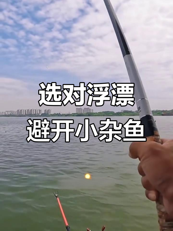如何挑选钓鲢鳙浮漂?避免小鱼闹钩的技巧分享