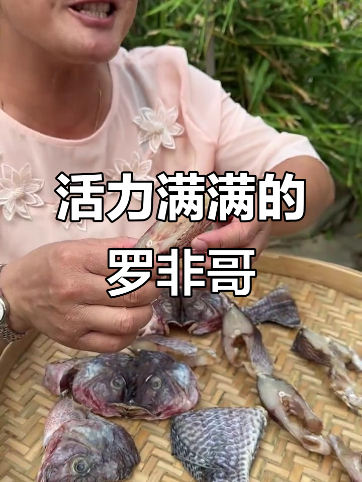 罗非鱼干,精神满满!