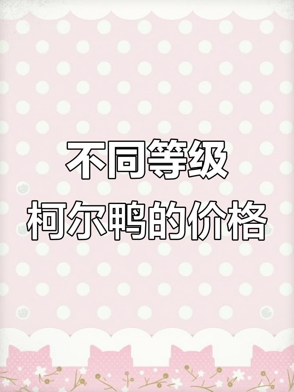 柯尔鸭价格差异大揭秘：S级与宠物级的差距有多大？