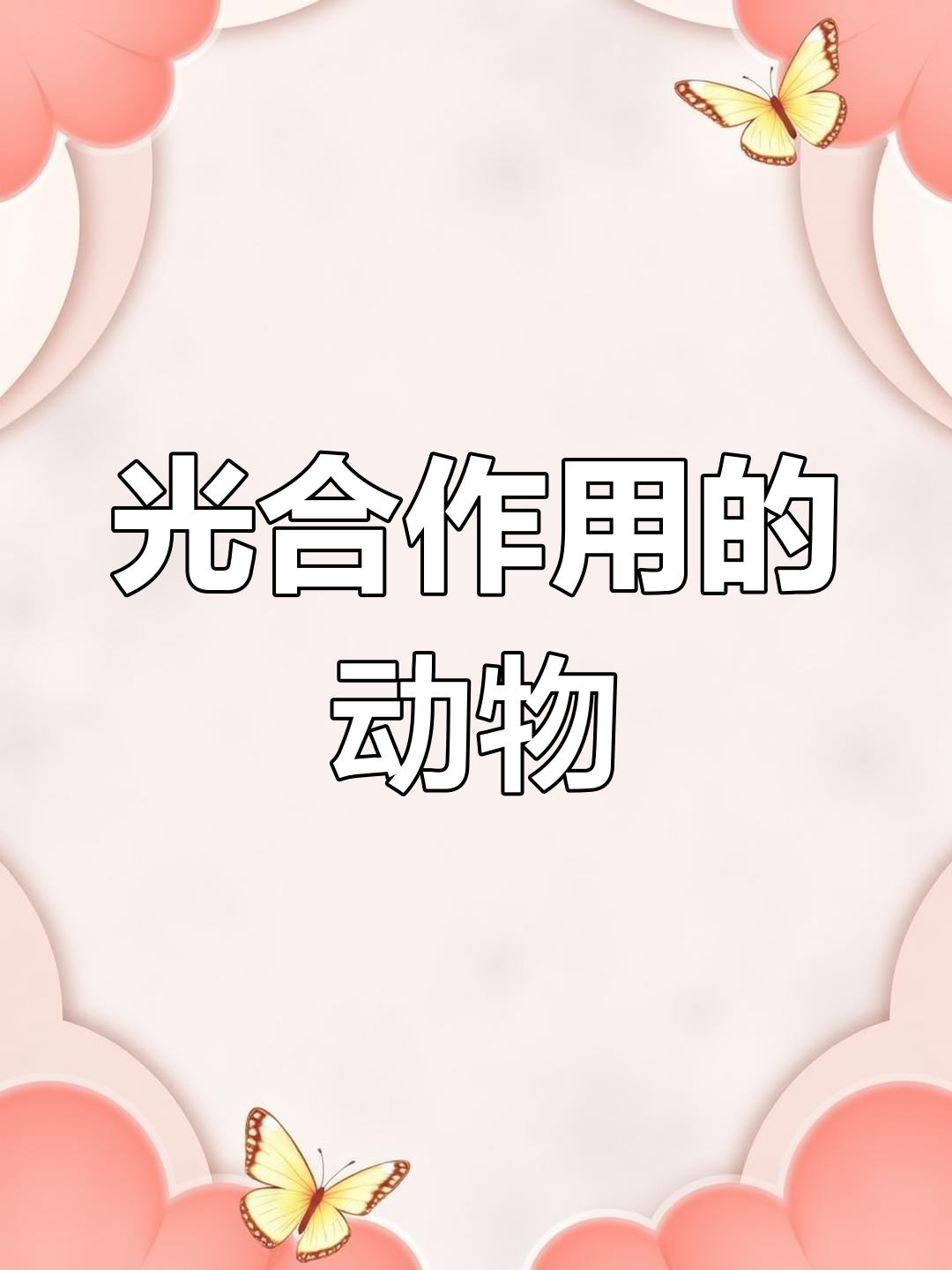 叶阳:光合作用与海藻的奇妙关系