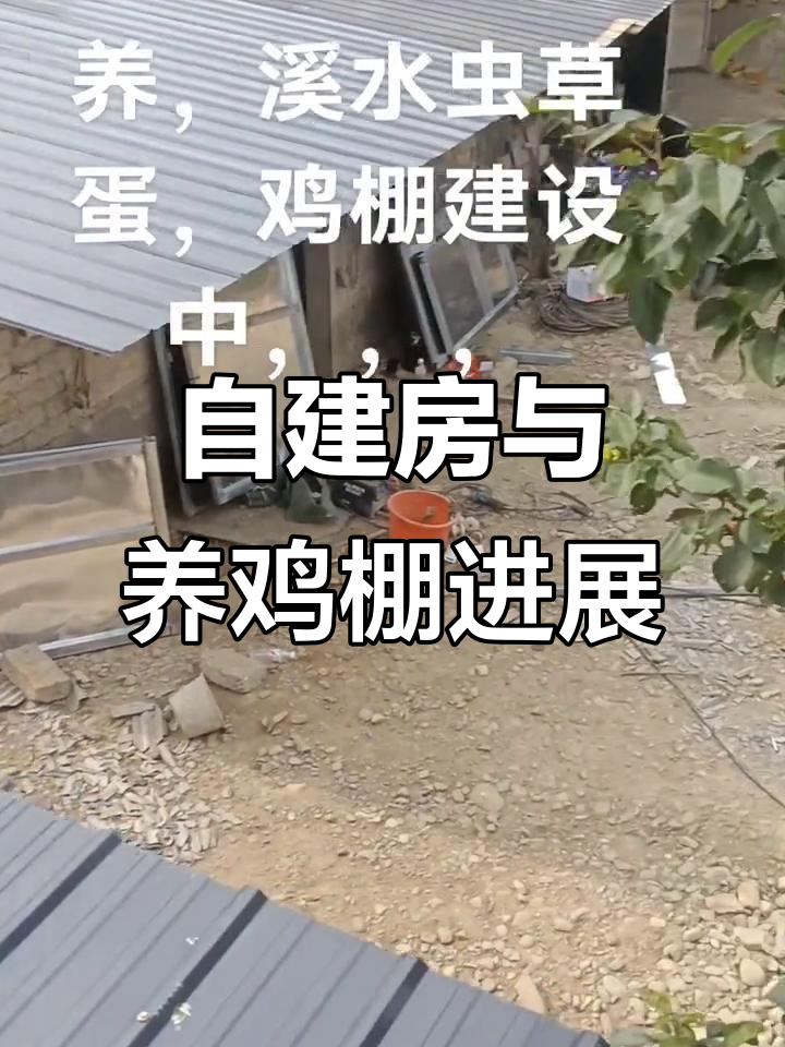 寒冬中的农村自建房,养鸡棚搭建火热进行中