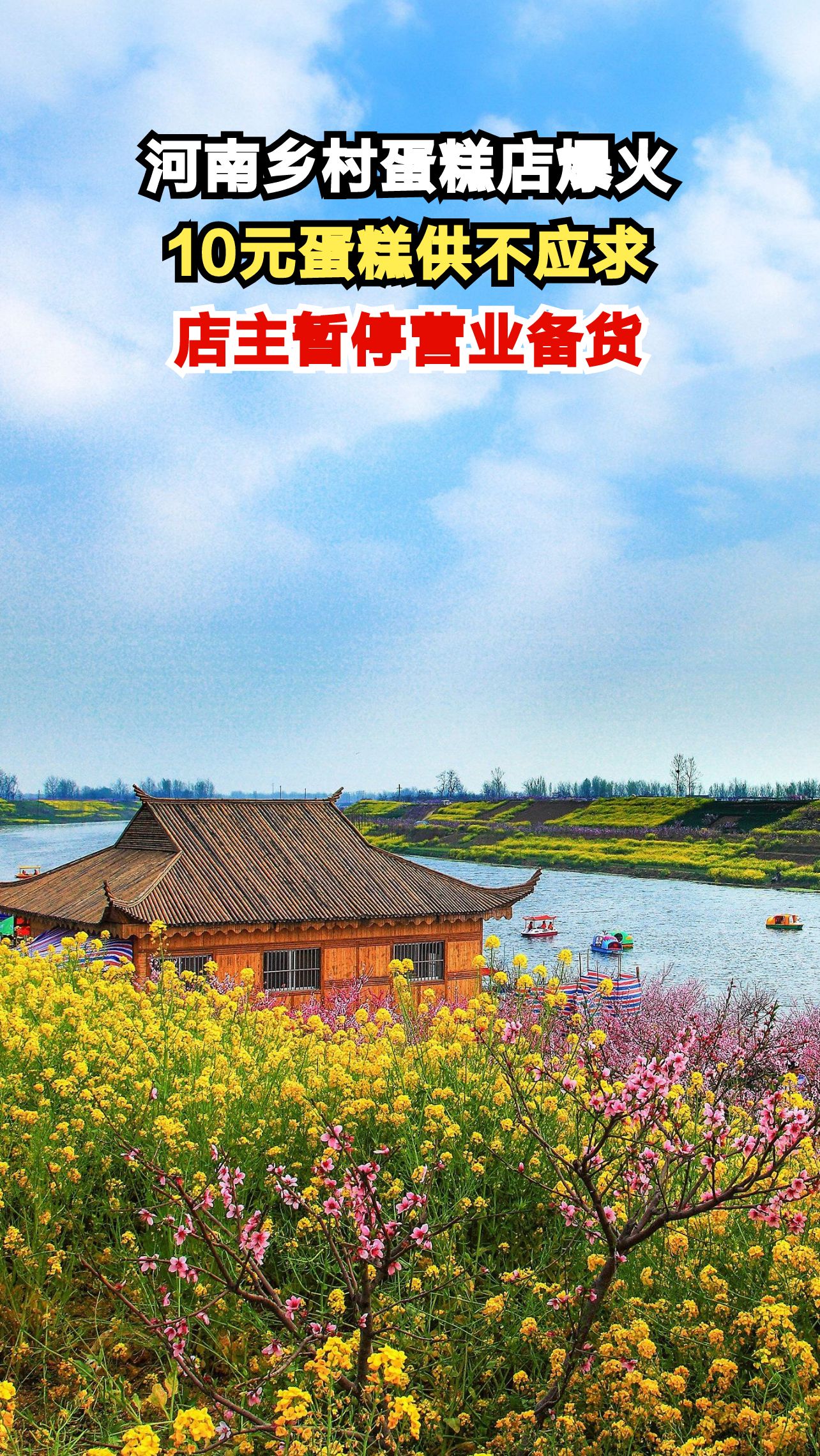河南乡村10元蛋糕店被挤爆,店主为何突然关门?真相让人暖心