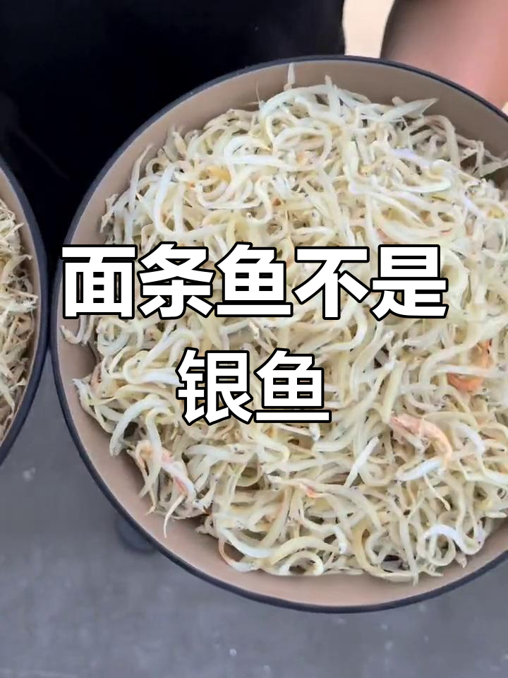 银鱼与面条鱼的差异揭秘,价格和鲜度大不同