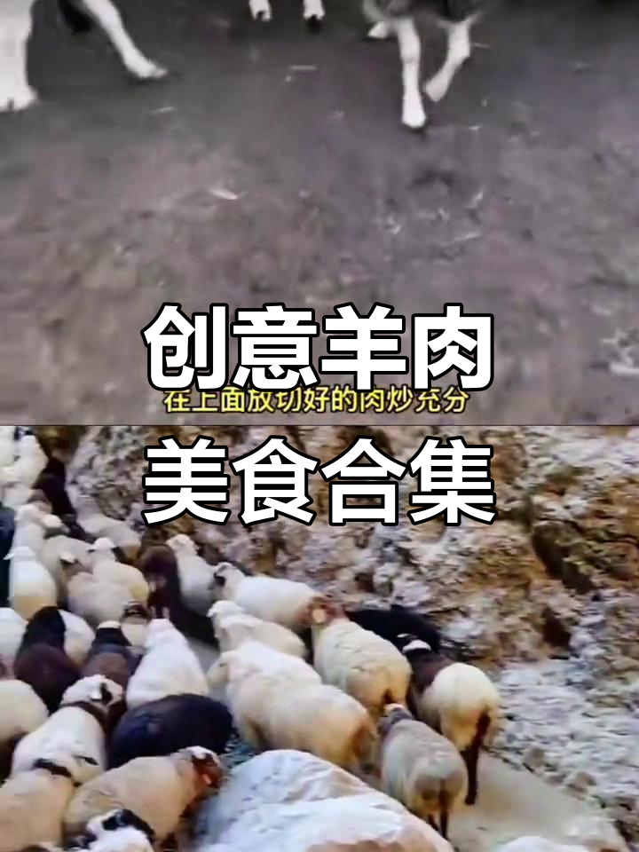 羊肉炒菜大变身,试试这些美味新做法