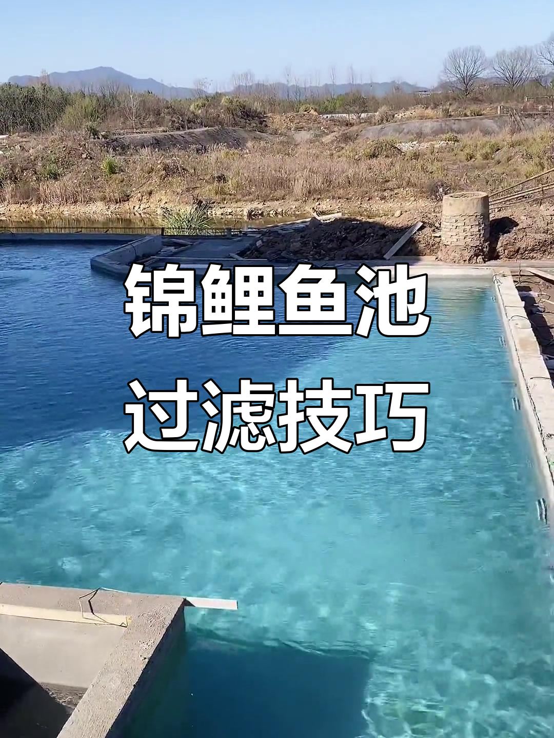 锦鲤鱼池过滤系统全解析,打造完美水循环
