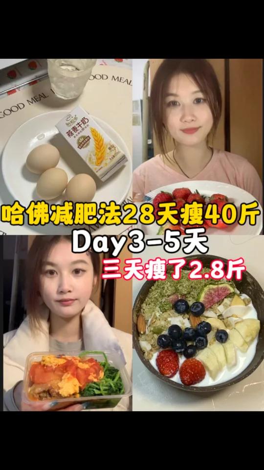哈佛减肥法Day3-5天|三天2.8斤完整版