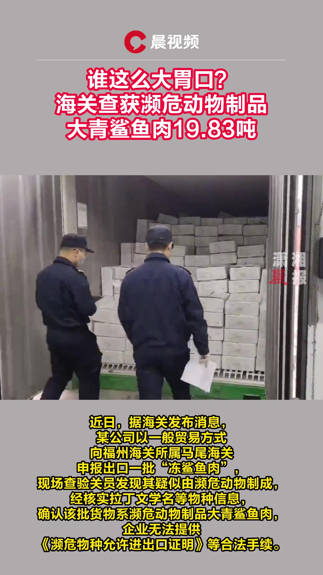 谁这么大胃口?海关查获大青鲨鱼肉19.83吨